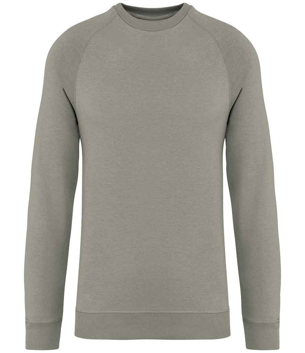 Native Spirit Unisex Raglan Sleeve Sweatshirt